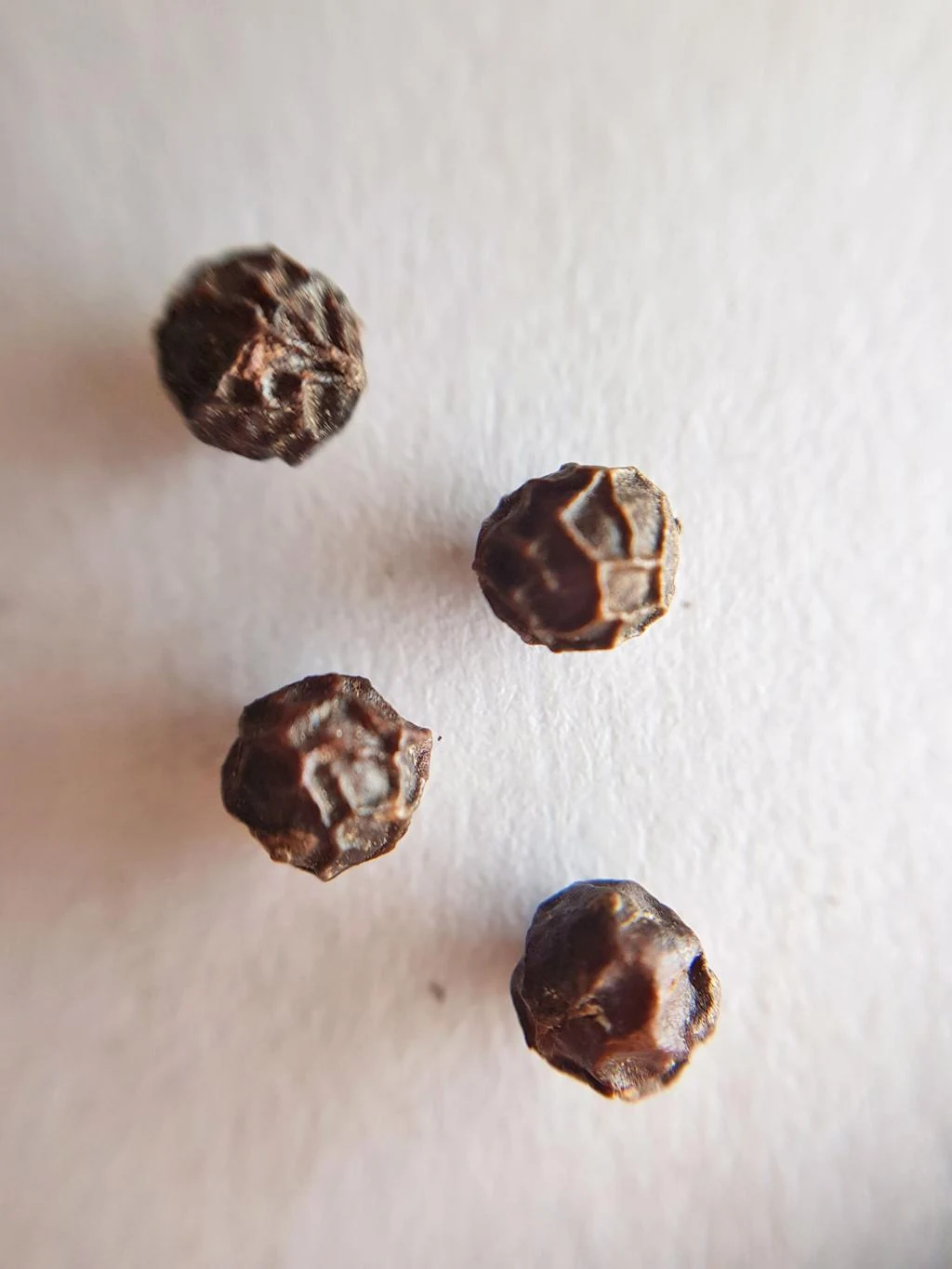 Black Pepper Seeds (Piper nigrum) used in Infantol (Babies Tonic)